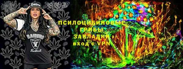 Альфа ПВП Гусев